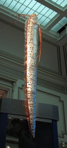 рыба ремень в музее