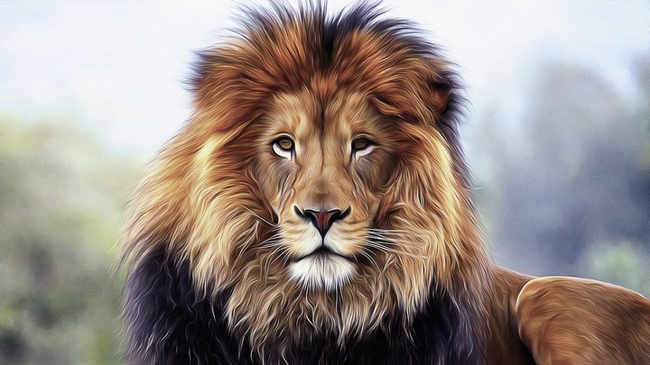 рисунок льва