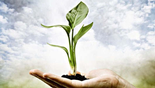 Местные фермерские продукты