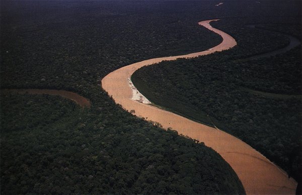 амазонка