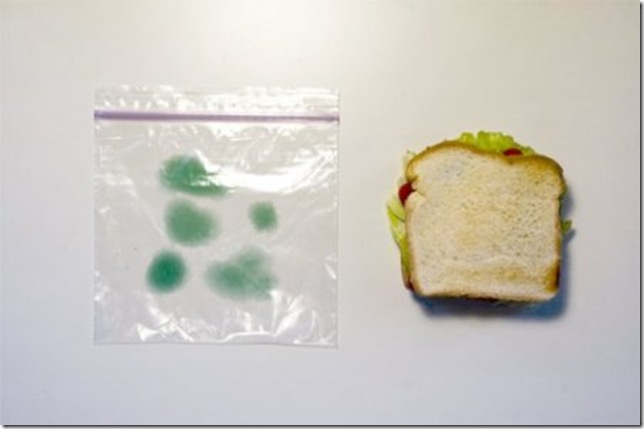 упаковка бутербродов с защитным принтом