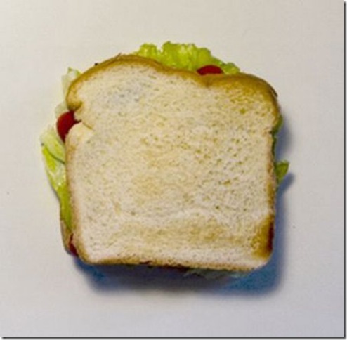 бутерброд с рисунком плесени для защиты еды