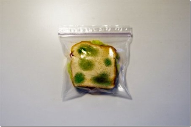 работник демонстрирует обед с защитным принтом