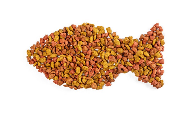 корм для животного корм для животного