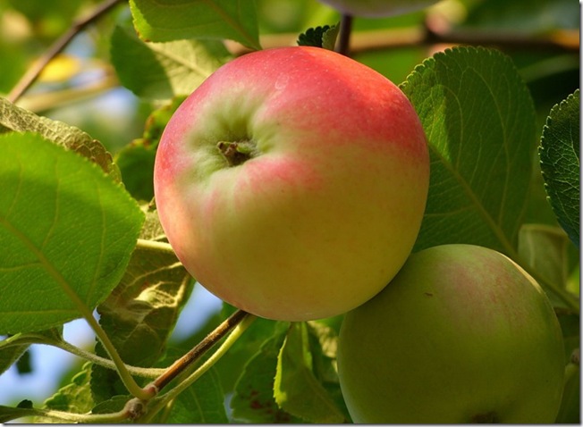 Освежающие летние продукты