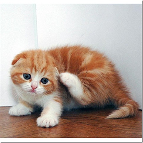 042fe9caecd1 042fe9caecd1