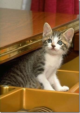 0_f546_a18792f_XL.jpg 0_f546_a18792f_XL.jpg