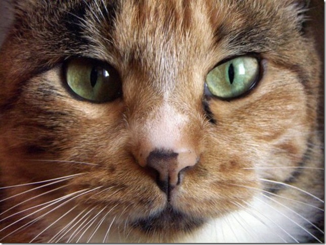 x_2ea4d608 x_2ea4d608