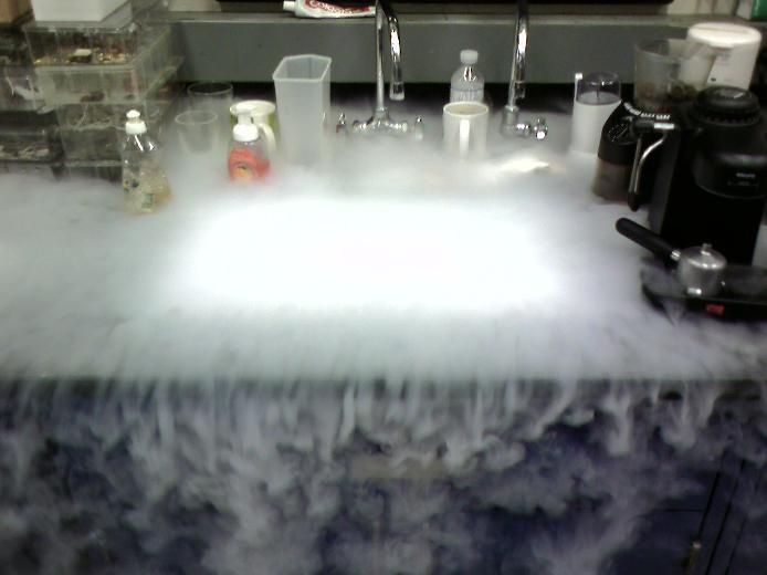 Процесс криогенного погребения с использованием жидкого азота