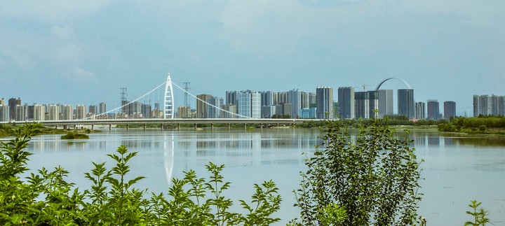 кольцо жизни