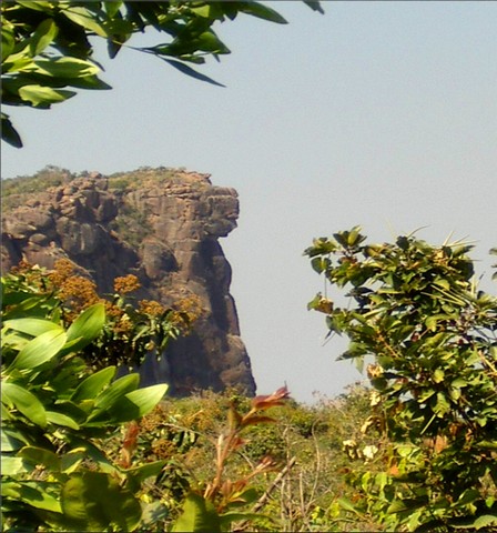 дама из мали