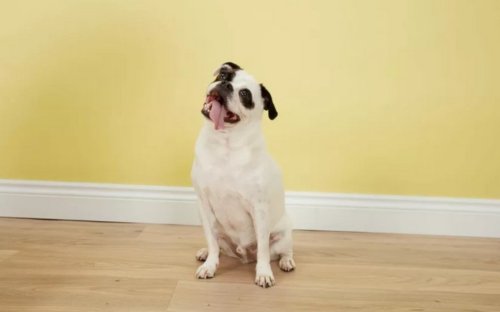 наклон головы