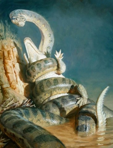 душит крокодила