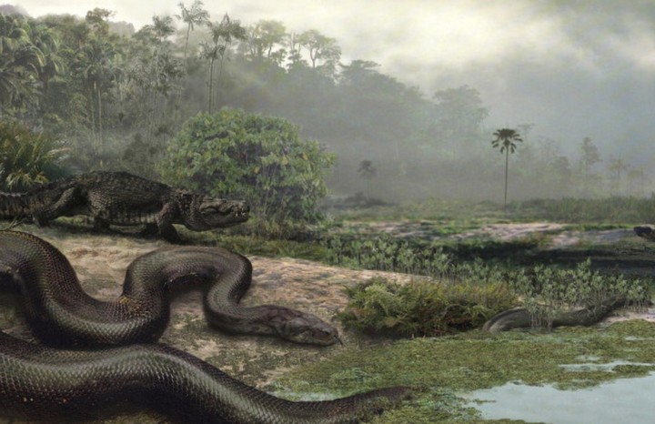 гигантофис