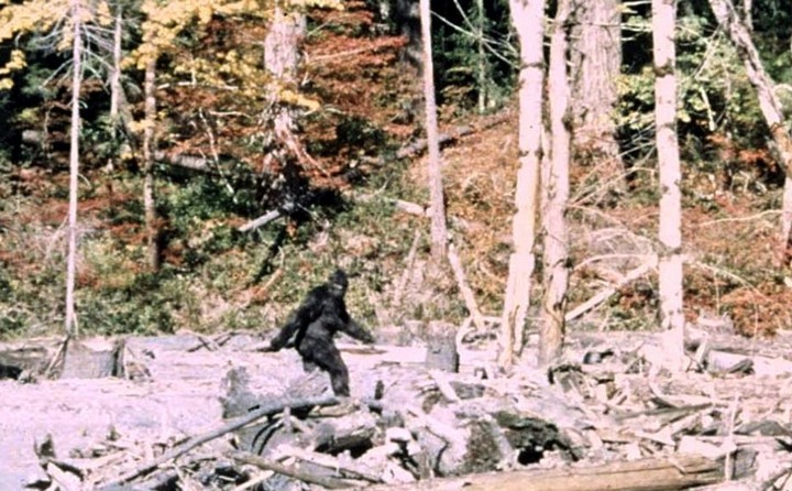 бигфут бигфут