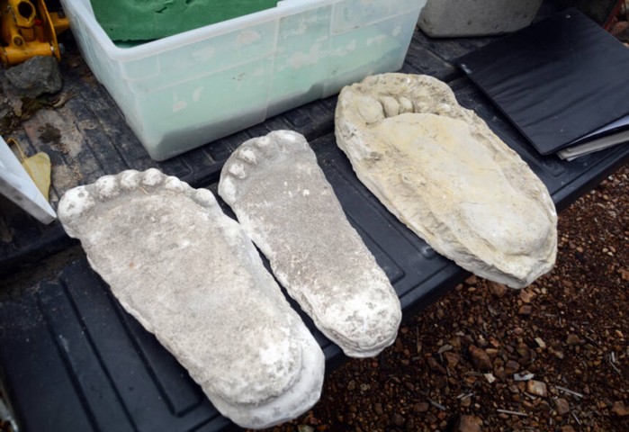 отпечатки ног