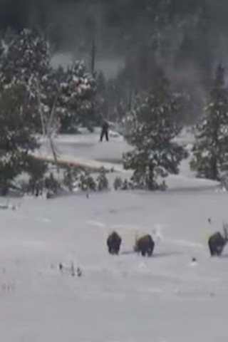 снежный человек снежный человек