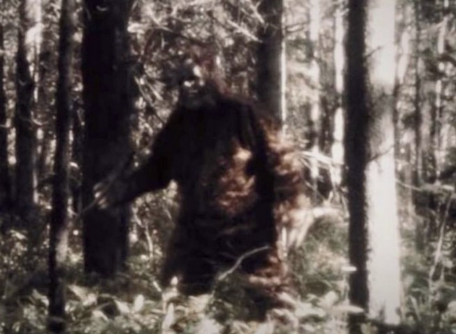 нечеткий снимок нечеткий снимок