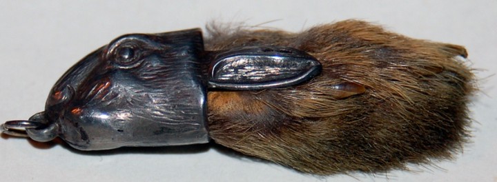 кроличья лапка