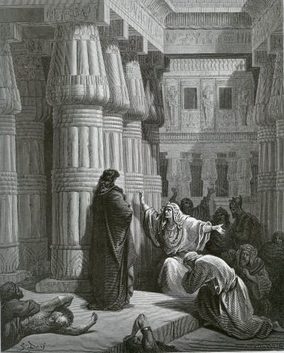 Нашествие песьих мух