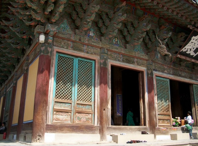 пульгукса пульгукса