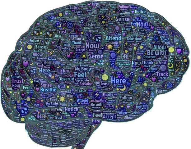 визуализация мозга