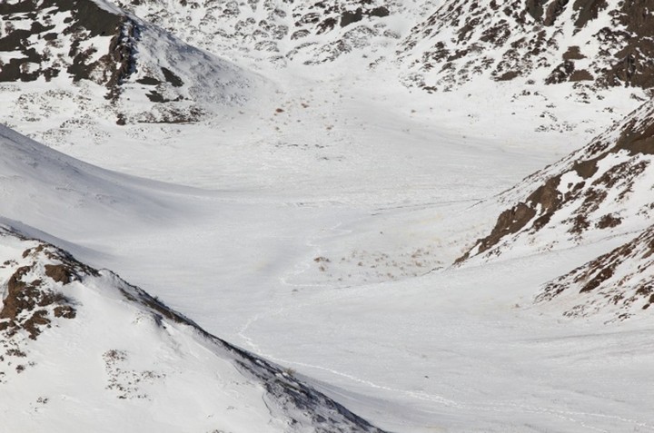 ледяное поле