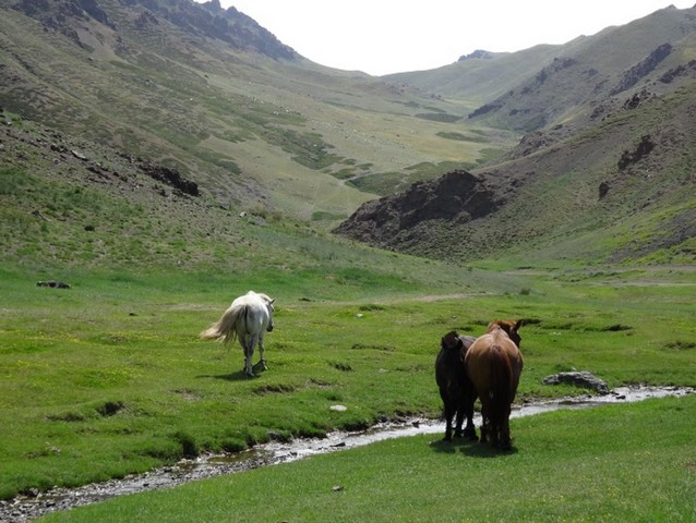 ледник ледник