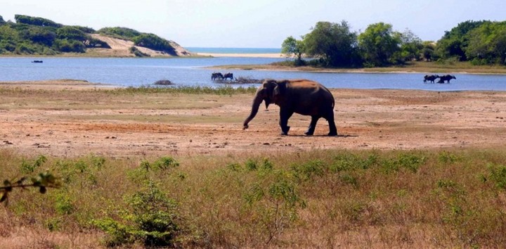 природа шриланки природа шриланки