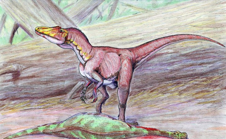 динозавр динозавр