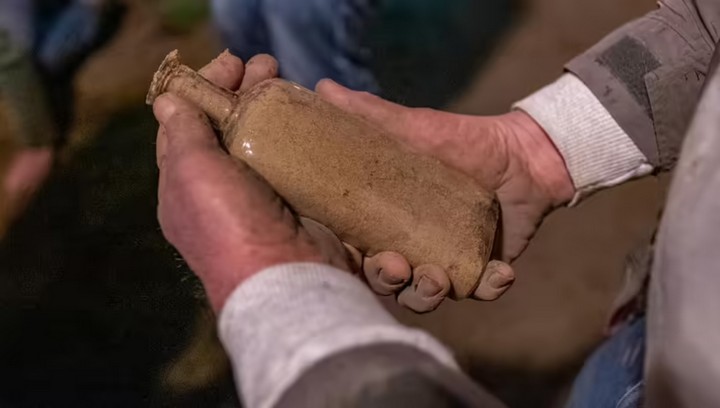 семена семена