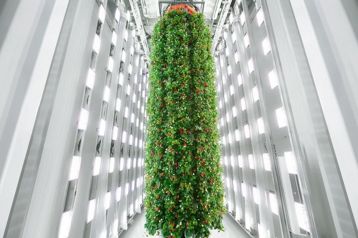 ферма будущего