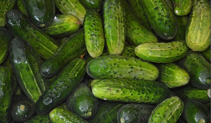 соленья соленья