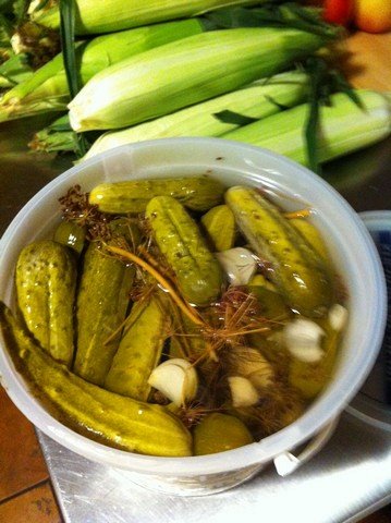 соленья соленья