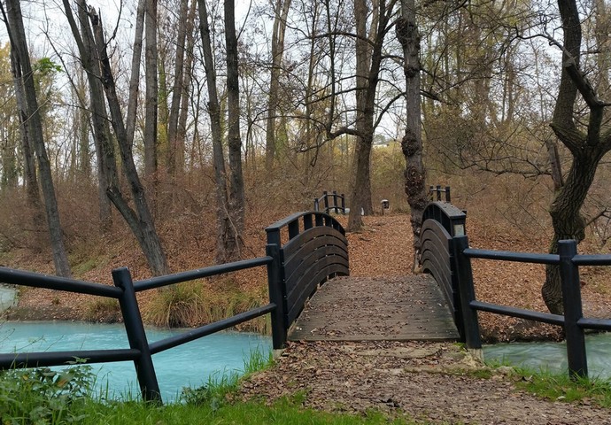 осень в парке осень в парке