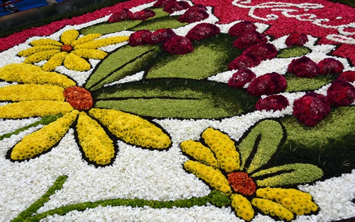 фестиваль цветов фестиваль цветов