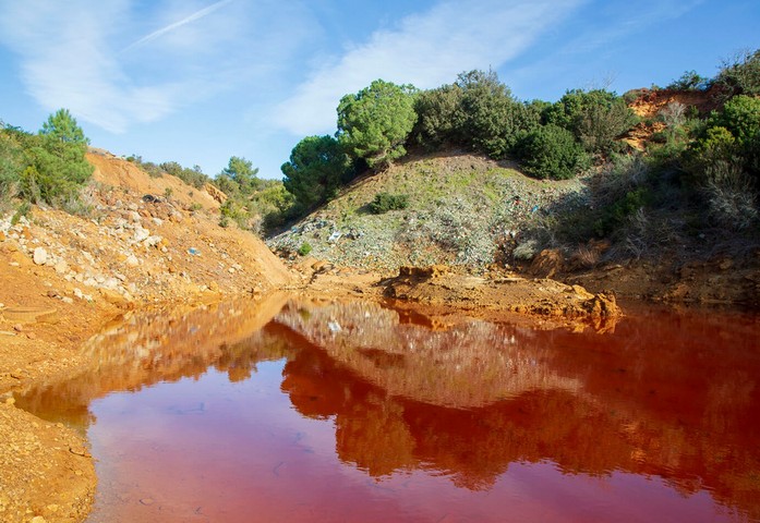 природа и история природа и история