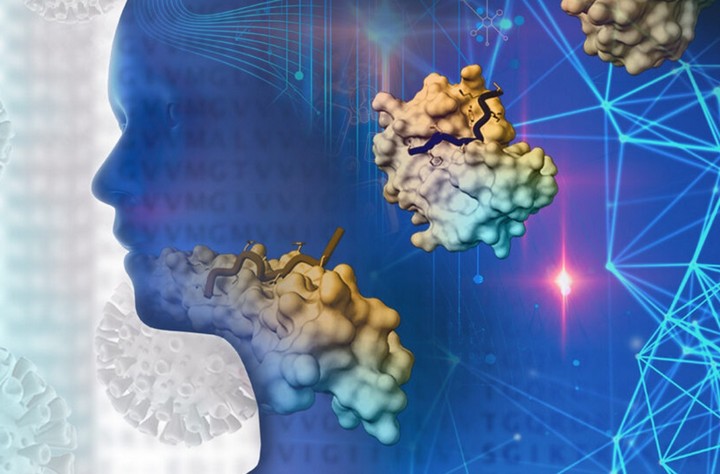 здоровье здоровье