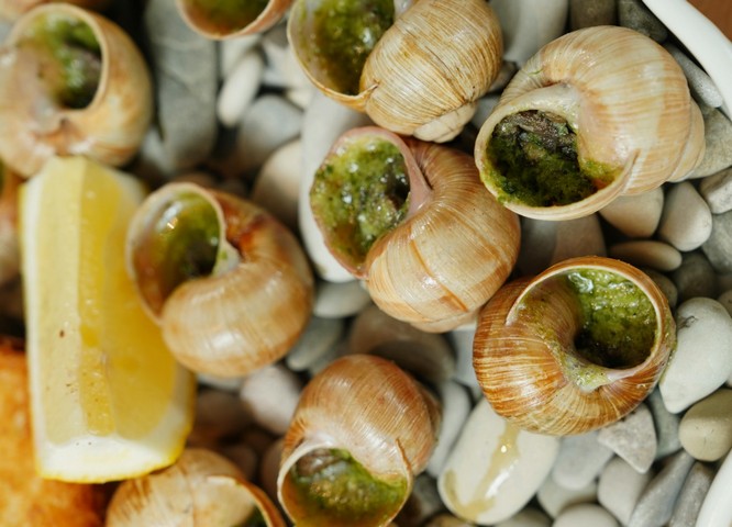 вкус улитки