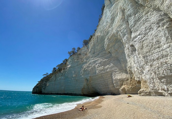 виньанотика виньанотика