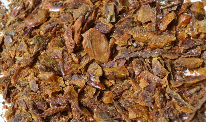 прополис прополис