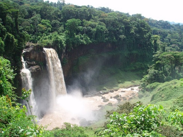 природа природа