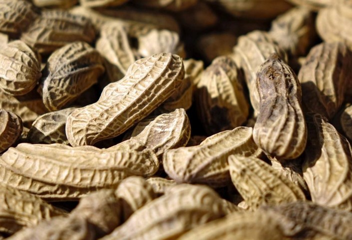 орешки орешки