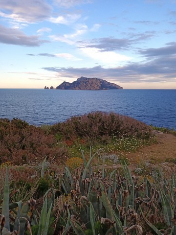 вид на море