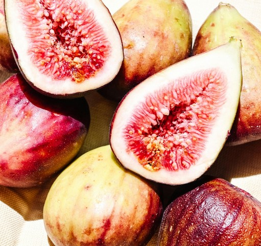 инжир инжир