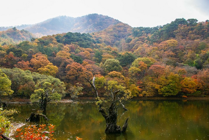 джусанджи джусанджи