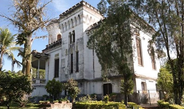 пальмерола парагвай