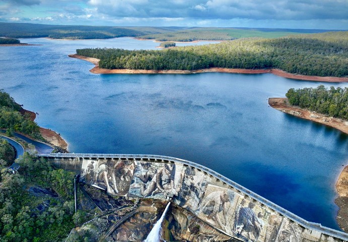 веллингтон