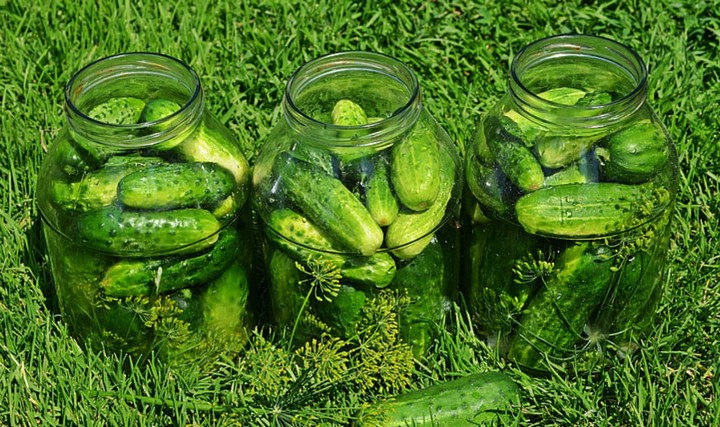 огурцы огурцы