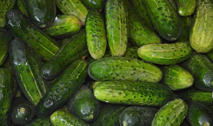 огурцы огурцы